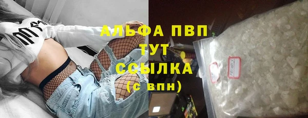 индика Бугульма