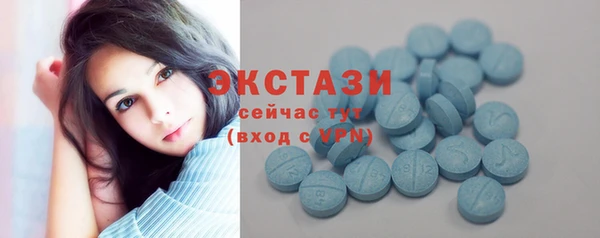 индика Бугульма