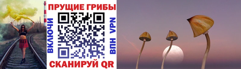 Галлюциногенные грибы ЛСД  сколько стоит  Северобайкальск 